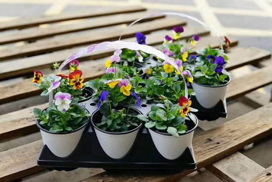 Macetas de termoformado, Macetas redondas para vivero, Maceta de jardín de plástico negro